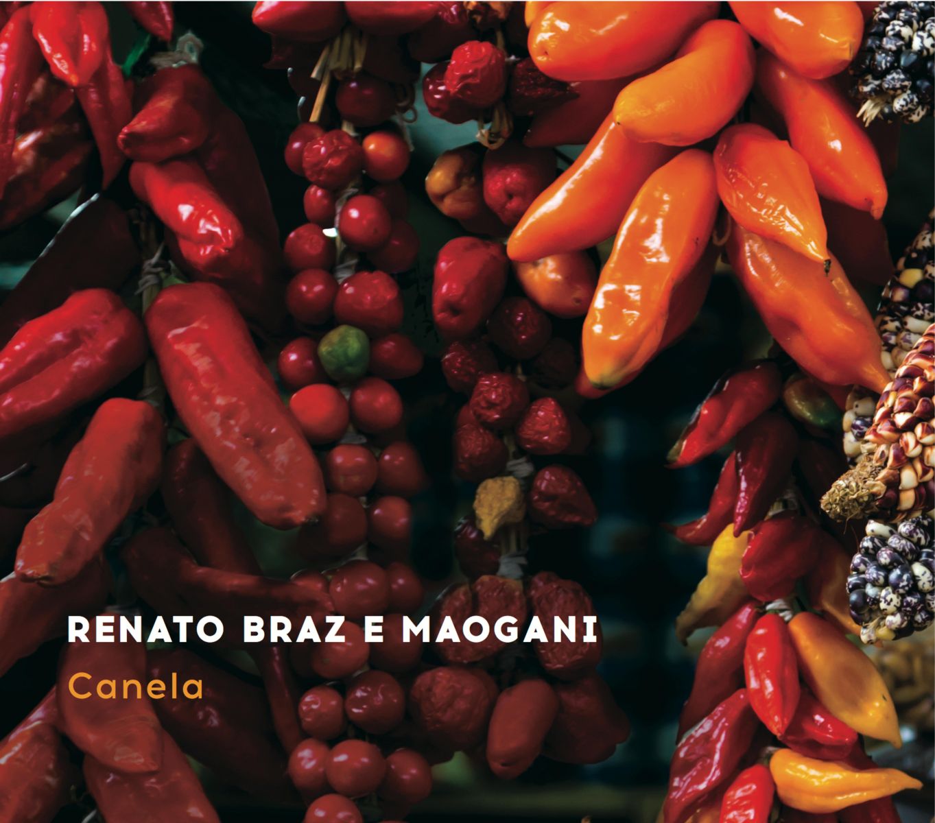 Acervo divulga faixas do novo CD de Renato Braz e Maogani
