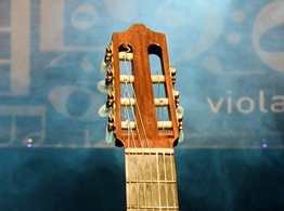 The Brazilian Seven String Guitar - Adam May